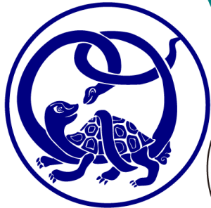 風水で用いる 神獣 いろいろ 四神相応 青龍 朱雀 白虎 玄武 麒麟 龍 についての効果解説