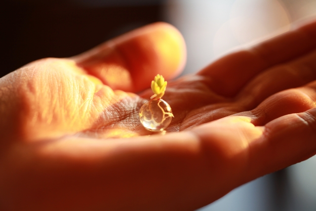 何があなたを「特別」にするのか? あなたの才能が花開く「宝財開花」のお話