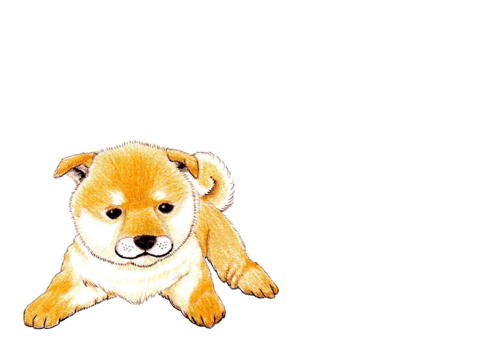 〇〇よりも大切なうちの子!その時が来たらどうすれば・・・?